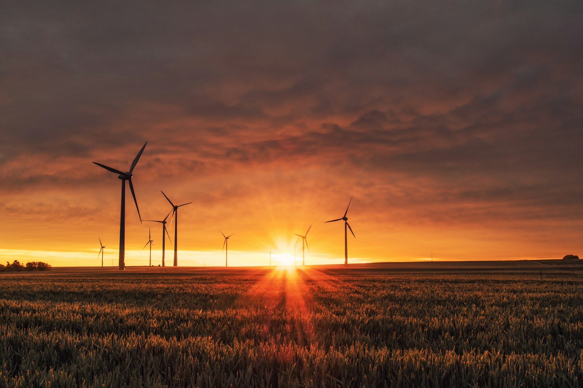 Wind turbines over a field at sunset